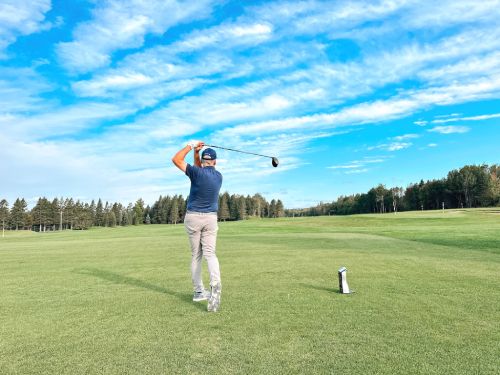 Shawn Clement reviewing a member's swing